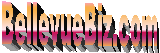  BellevueBiz.com   